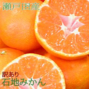 石地みかん 訳あり 10kg 家庭用 広島 瀬戸...の商品画像