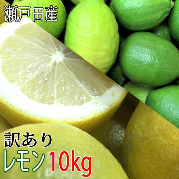 レモン 訳あり 国産 10kg ノーワックス 防腐剤不使用 有機 減農薬 国産レモン 瀬戸田レモン ...