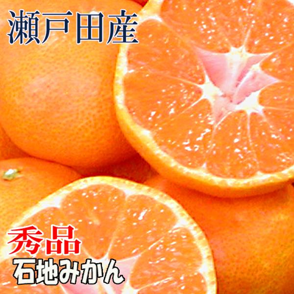 石地みかん 秀品 5kg 広島 瀬戸田産 いしじみかん 秀品みかん 贈答用みかん 柑橘 瀬戸田産みか...