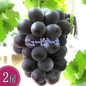 【クール便発送】ニューピオーネ 岡山産 青秀品 約1kg 2房 岡山ぶどう 岡山ピオーネ ピオーネ岡山 ぶどう岡山 岡山ブドウ ギフト 種なしピオーネ