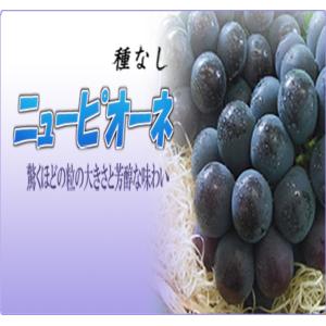 【クール便発送】ニューピオーネ 岡山産 青秀品...の詳細画像1