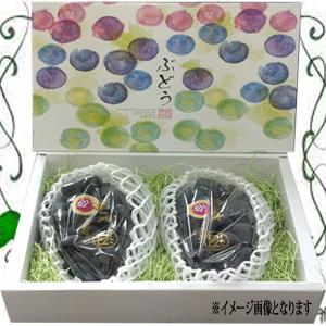 【クール便発送】ニューピオーネ 岡山産 青秀品...の詳細画像3