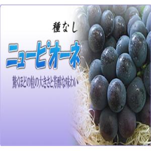 【クール便発送】ニューピオーネ 訳あり 2kg...の詳細画像1
