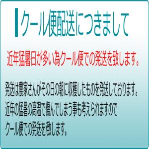 【クール便発送】ニューピオーネ 訳あり 2kg...の詳細画像4