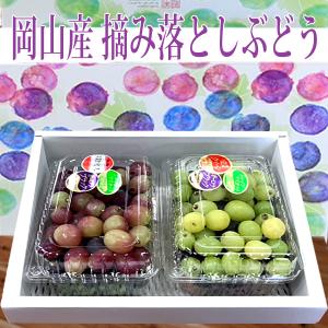 【クール便発送】訳あり 岡山産 摘み落としぶどう 家庭用 約900g×2 ニューピオーネ ニューベリーA オーロラブラック クイーンニーナ シャインマスカット