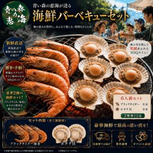 海鮮BBQ海老・ホタテ　ブラックタイガー海老・殻付きホタテ貝【2種類12品】バーベキューを楽しみたい、お肉だけで無く魚介のBBQも食べてみたい、お得なセット!!