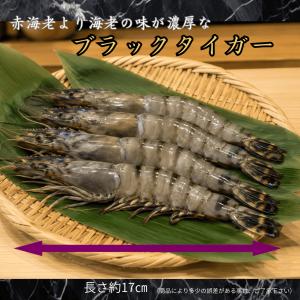 BBQいか・えび ブラックタイガー海老・スルメ...の詳細画像2