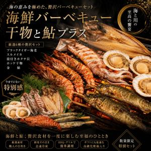 海鮮干物BBQ海老・ホタテ・イカ&ホッケ干物・金鮎【5種類16品】ブラックタイガー海老・殻付きホタテ貝・スルメイカ・ホッケ干物金鮎　海鮮バーベキュー