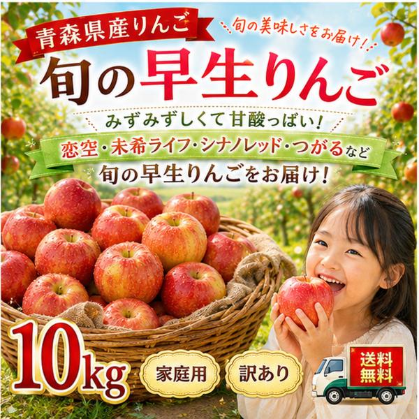 青森県産　りんご　旬の早生ふじ　訳あり　10kg 送料無料！　恋空・未希ライフ・シナノレッド・つがる...