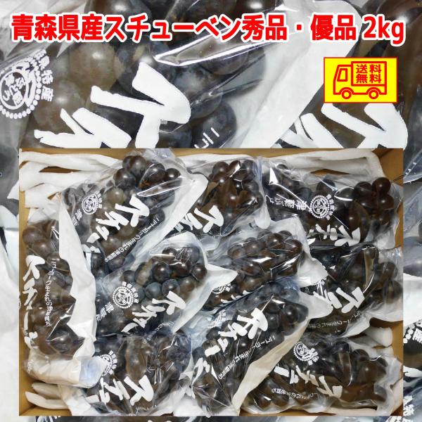 青森県産スチューベンぶどう　優品　２ｋｇ　送料無料！