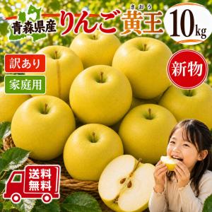 新物　採れたて！　青森県産　りんご　黄王28-46玉　10ｋｇ　送料無料！
