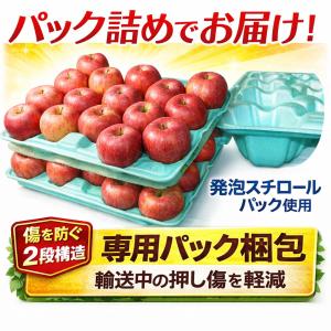 新物 採れたて! 青森県産 りんご 黄王28-...の詳細画像4