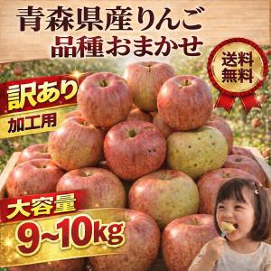 青森県産 りんご　訳あり（加工用）　品種おまかせ　生食可　９〜10ｋｇ送料無料！