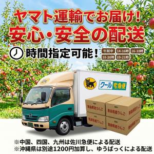 青森県産 りんご 品種おまかせ 加工用 9〜1...の詳細画像3
