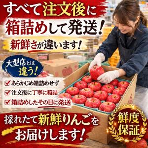 青森県産 りんご 品種おまかせ 加工用 9〜1...の詳細画像2