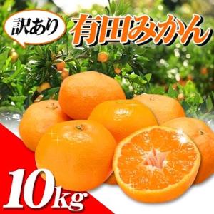 訳あり　有田みかん　10ｋｇ　和歌山県産　送料無料（北海道、沖縄県、東北除く）