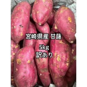 さつまいも 甘藷 宮崎紅 寿甘藷　訳あり5k
