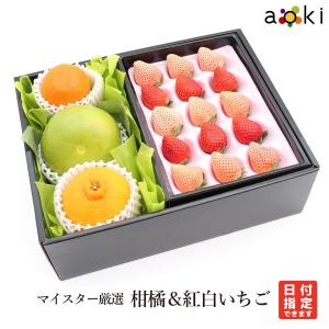マイスター厳選 柑橘&紅白いちごセット おすすめ...の商品画像