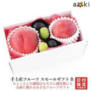 【当日発送OK】手土産フルーツ　スモールギフトB おすすめ黒ぶどう シャインマスカット プラム 桃 （クール便）