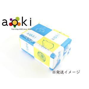 手土産フルーツ スモールギフトC いちご ブル...の詳細画像3