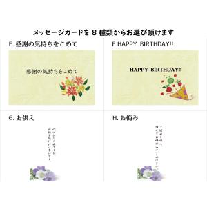 手土産フルーツ スモールギフトC いちご ブル...の詳細画像5