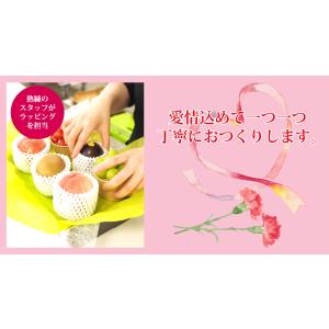 母の日 カーネーション 造花 付 マイスター ...の詳細画像2