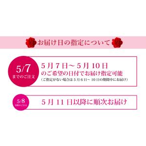 遅れてごめんね 母の日 カーネーション 入り ...の詳細画像1