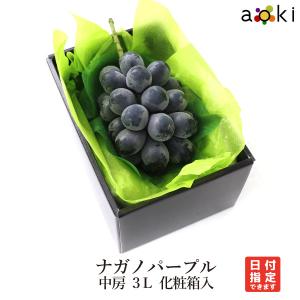 信州ナガノパープル2房約1kg×2箱 JAグリーン長野 ナガノパープル 大房 2房(約1.2kg)【贈答箱】9月