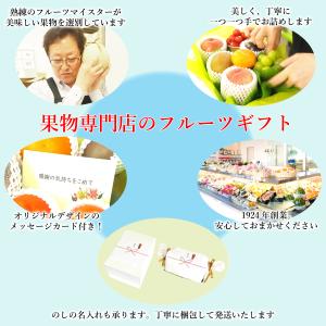 お中元・御中元フルーツギフト F おすすめ黒赤...の詳細画像1