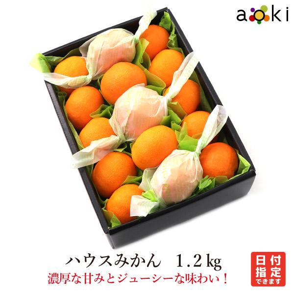 ハウスみかん　1.2kg みかん （クール便）