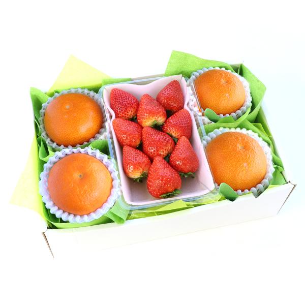 【12月中旬より発送】【福島県産いちご入り】季節のフルーツギフトE おすすめ柑橘 福島県産　いちご ...
