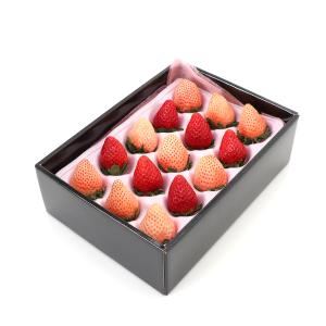 フルーツギフト 贈り物 青木フルーツ 紅白いちごセット　化粧箱入[いちご 白いちご]（クール便）｜aokifruits
