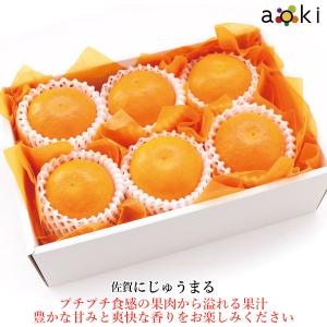 にじゅうまる フルーツギフト 詰め合わせ 果物ギフト 贈り物 誕生日 御祝 内祝 プレゼント プレゼント （常温便）