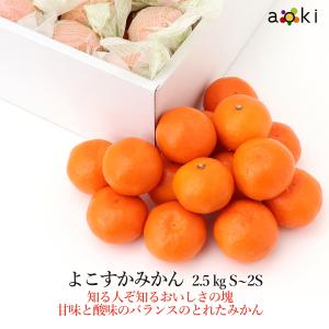 よこすか菊みかん 2.5kg S〜2Sサイズ よこすか菊みかん　S〜２Sサイズ （常温便）