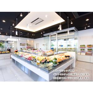 果物 フルーツ 旬の お楽しみ フルーツBOX...の詳細画像5