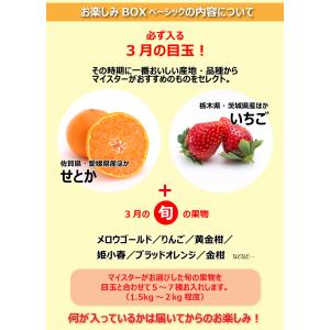 果物 フルーツ 旬の お楽しみ フルーツBOX...の詳細画像1