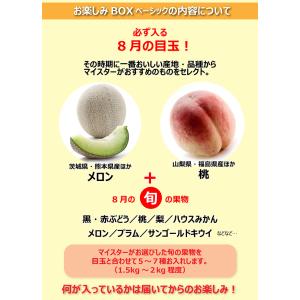【当日発送OK】 お楽しみフルーツBOXベーシ...の詳細画像2