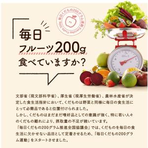 おうちdeフルフル200 ご自宅用 在宅勤務の...の詳細画像4