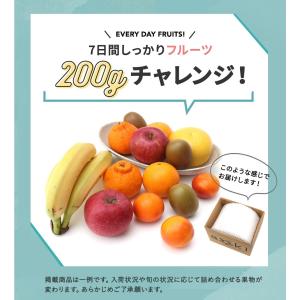 おうちdeフルフル200 ご自宅用 在宅勤務の...の詳細画像5