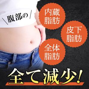 ブラックジンジャー 乳酸菌 サプリ ダイエット...の詳細画像4