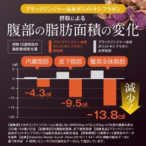 ブラックジンジャー 乳酸菌 サプリ ダイエット...の詳細画像5