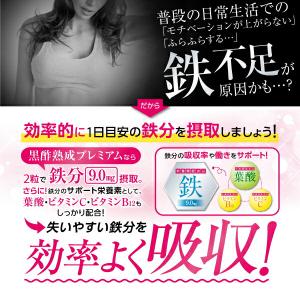 鉄分 サプリ 疲労 ビタミン 葉酸 すっぽん ...の詳細画像3