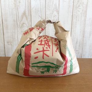 鳥の餌 鳥のエサ 着色米 爆買 斑点米 虫食い...の詳細画像2