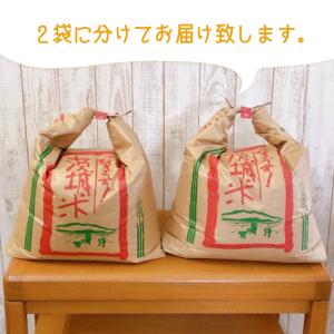 令和7年産 こしひかり コシヒカリ 玄米30k...の詳細画像1