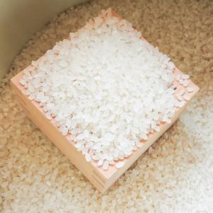 令和7年産 こしひかり コシヒカリ 玄米30k...の詳細画像4