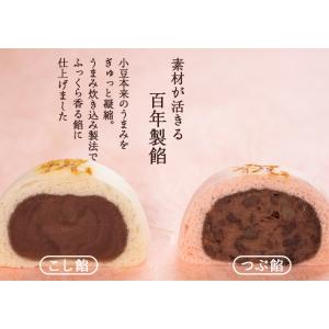 祝の焼き印入 紅白万頭小2個入 東京 祝饅頭 ...の詳細画像2
