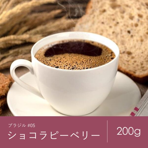 コーヒー 豆 青海 スペシャルティ珈琲 ブラジル ショコラピーベリー 200g