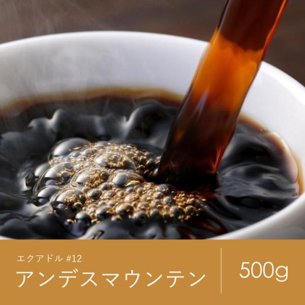 コーヒー 豆 青海 スペシャリティ珈琲 エクアドル アンデスマウンテン 500g