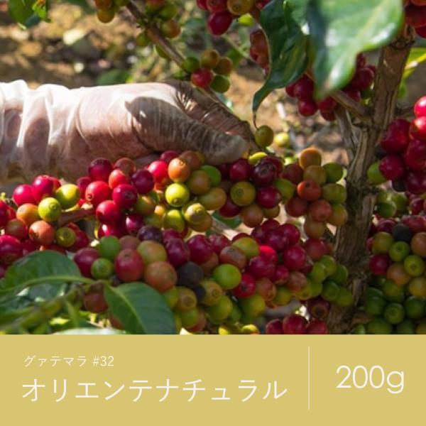 コーヒー 豆 青海 スペシャルティ珈琲 グァテマラ オリエンテナチュラル 200g