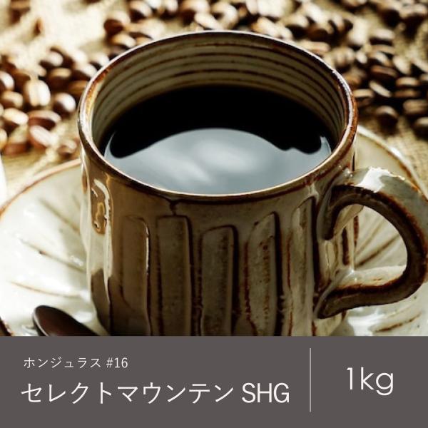 コーヒー 豆 青海 スペシャリティ珈琲 ホンジュラス セレクトマウンテンSHG 1kg
